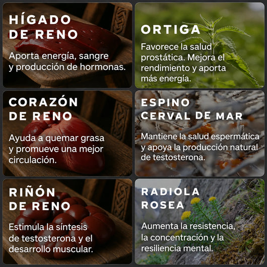 La Forja® | Vuelve a ser el hombre que eras.
